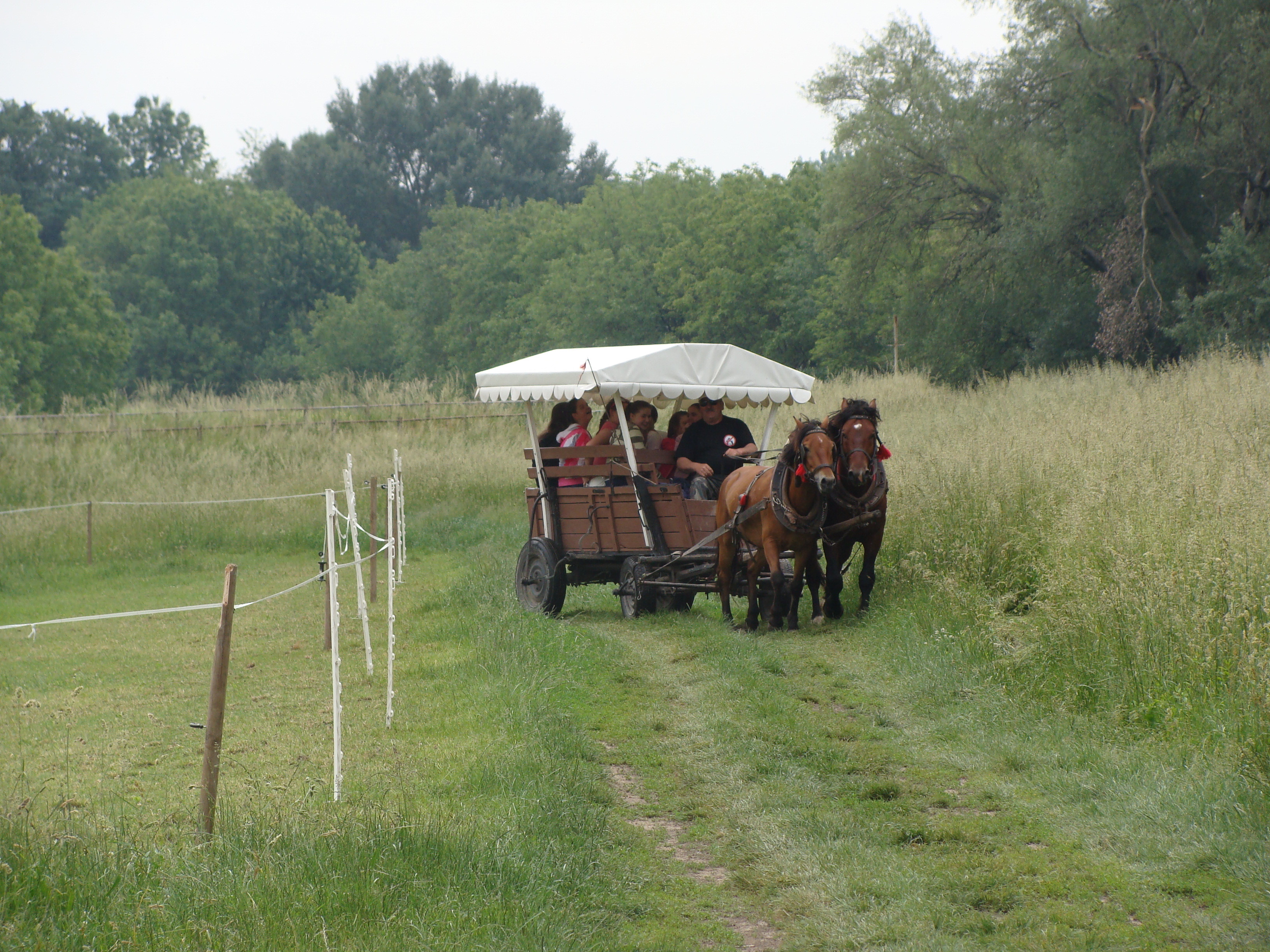 2014.05.26 Gabčíkovo Vojka 0032