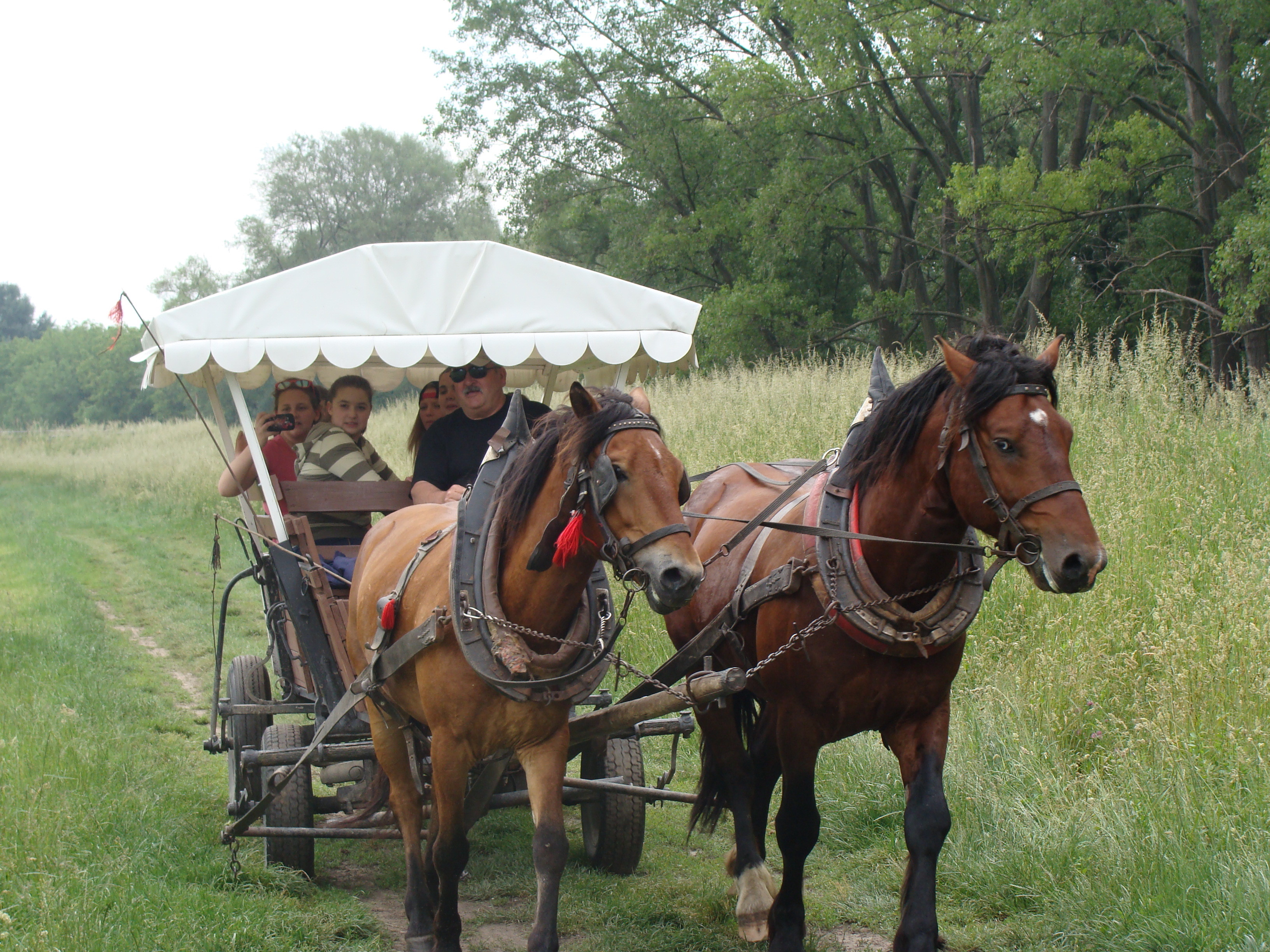 2014.05.26 Gabčíkovo Vojka 0033