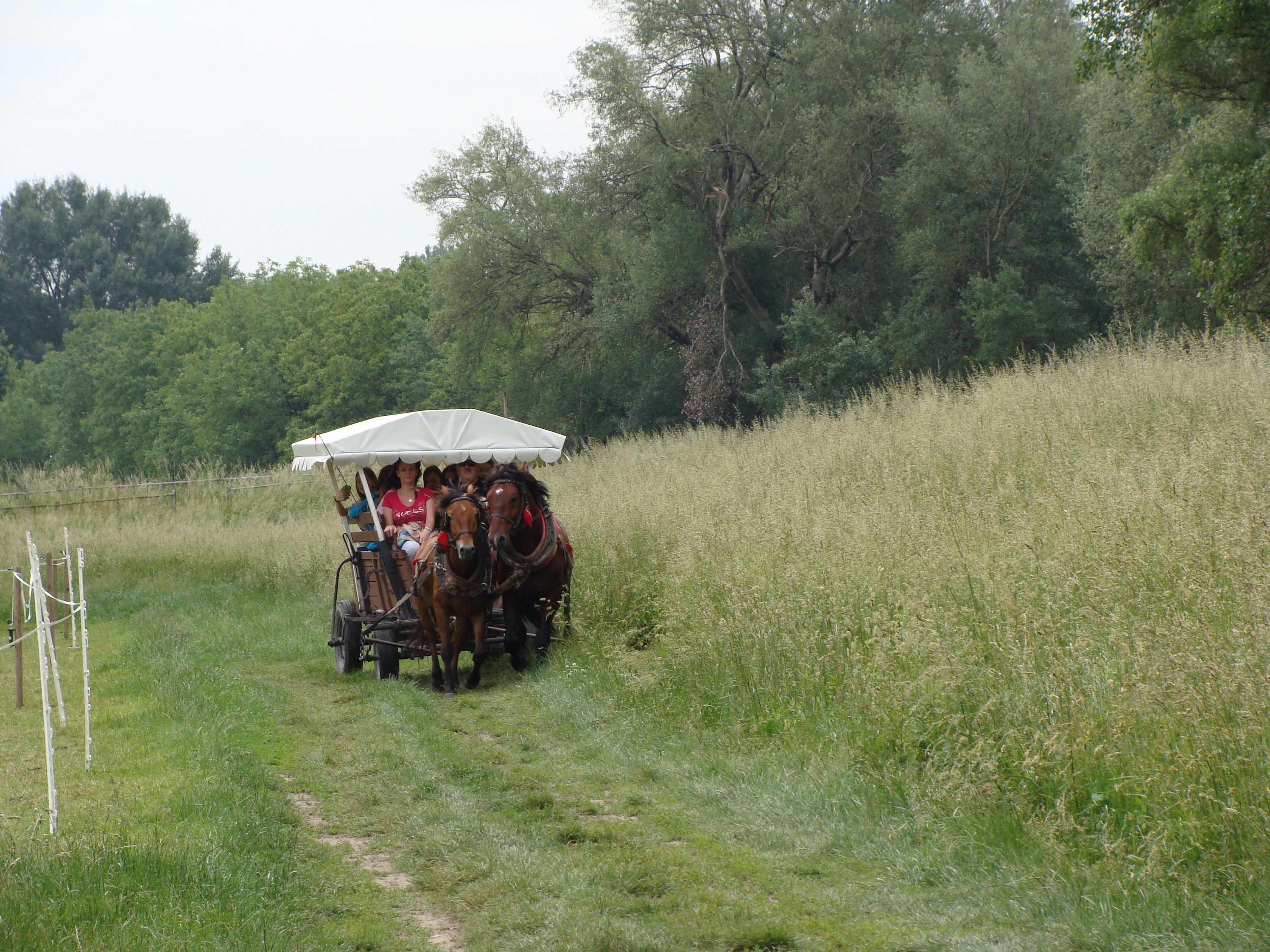2014.05.26 Gabčíkovo Vojka 0043