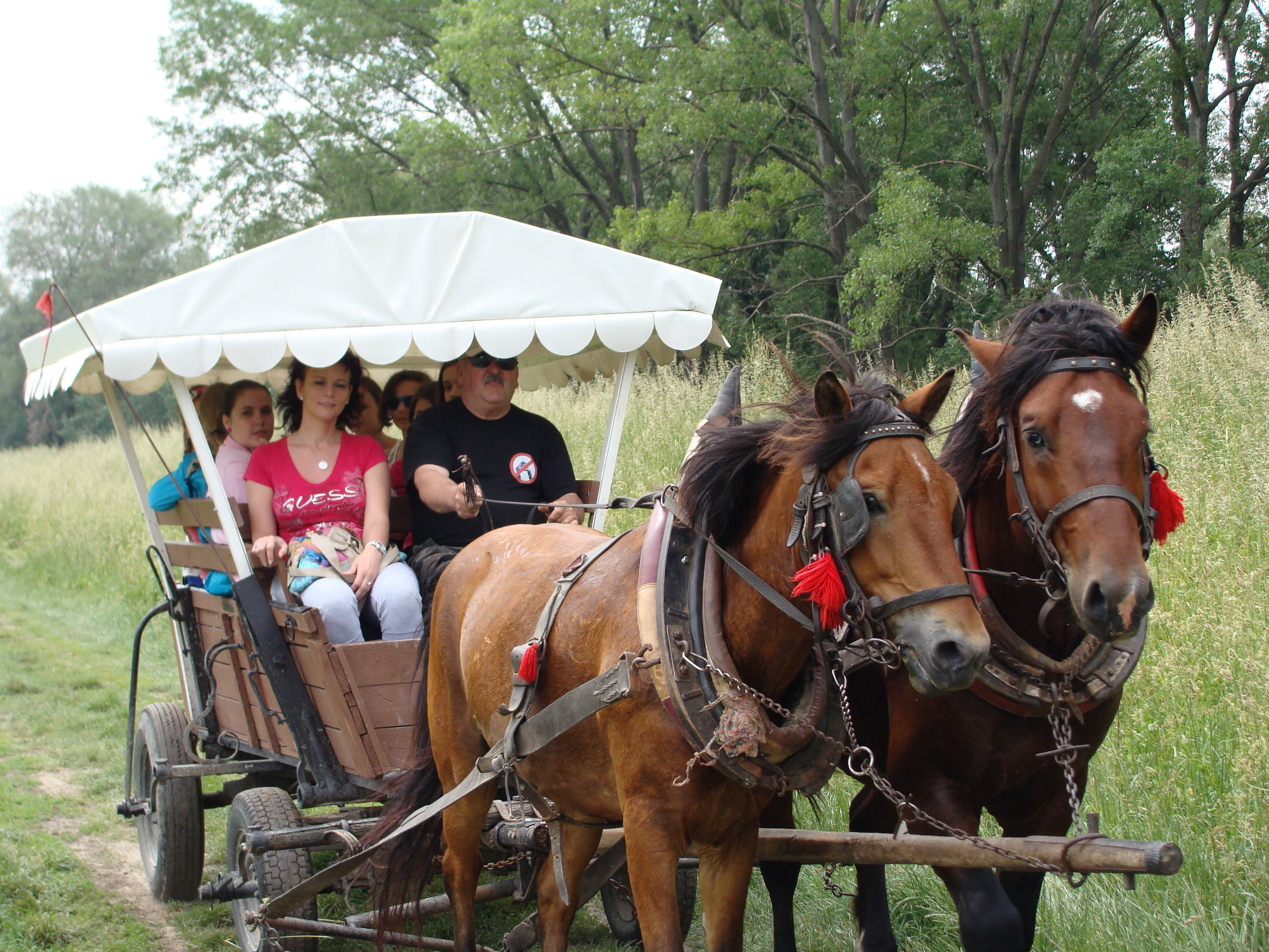 2014.05.26 Gabčíkovo Vojka 0045