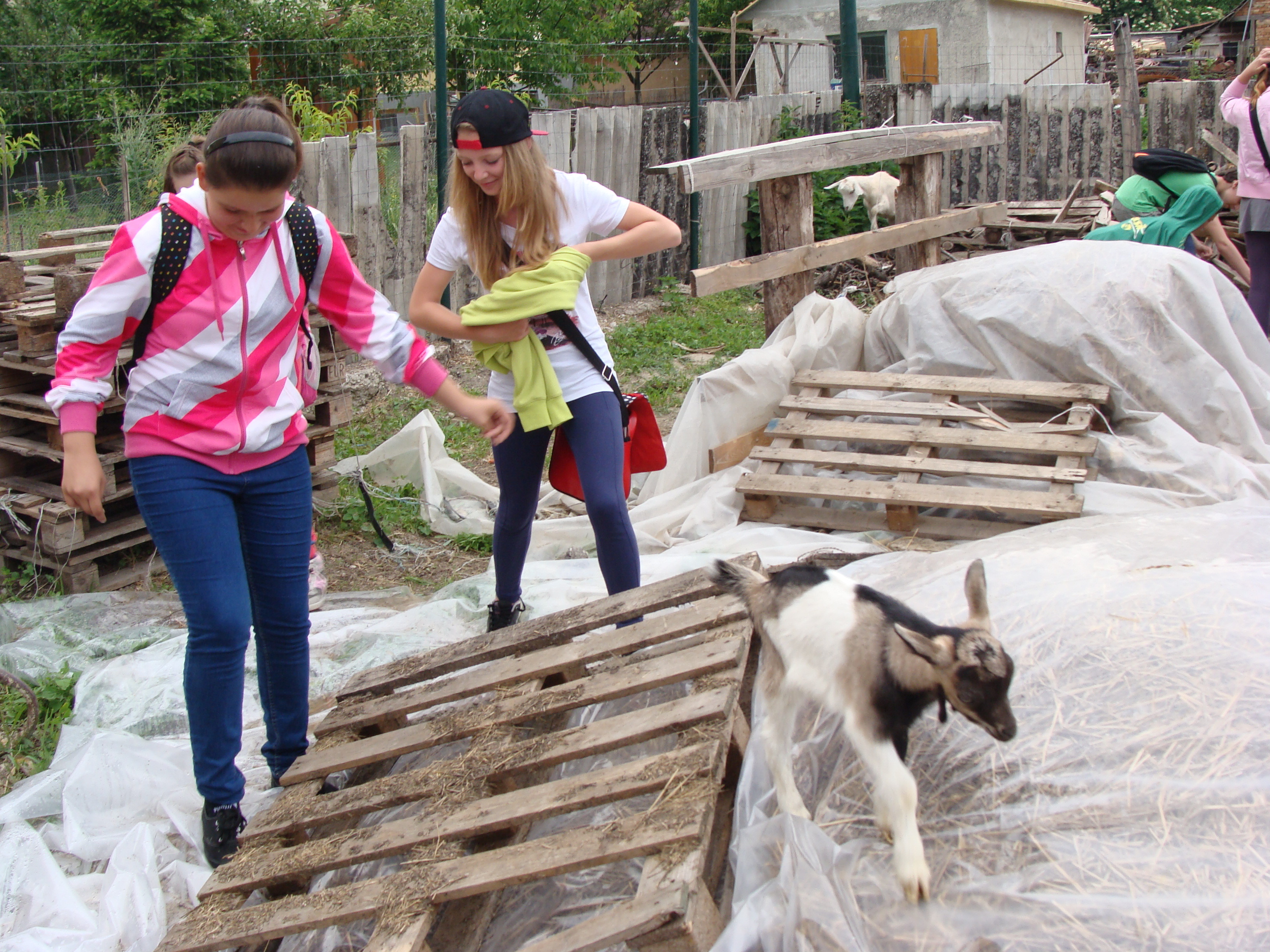 2014.05.26 Gabčíkovo Vojka 0065