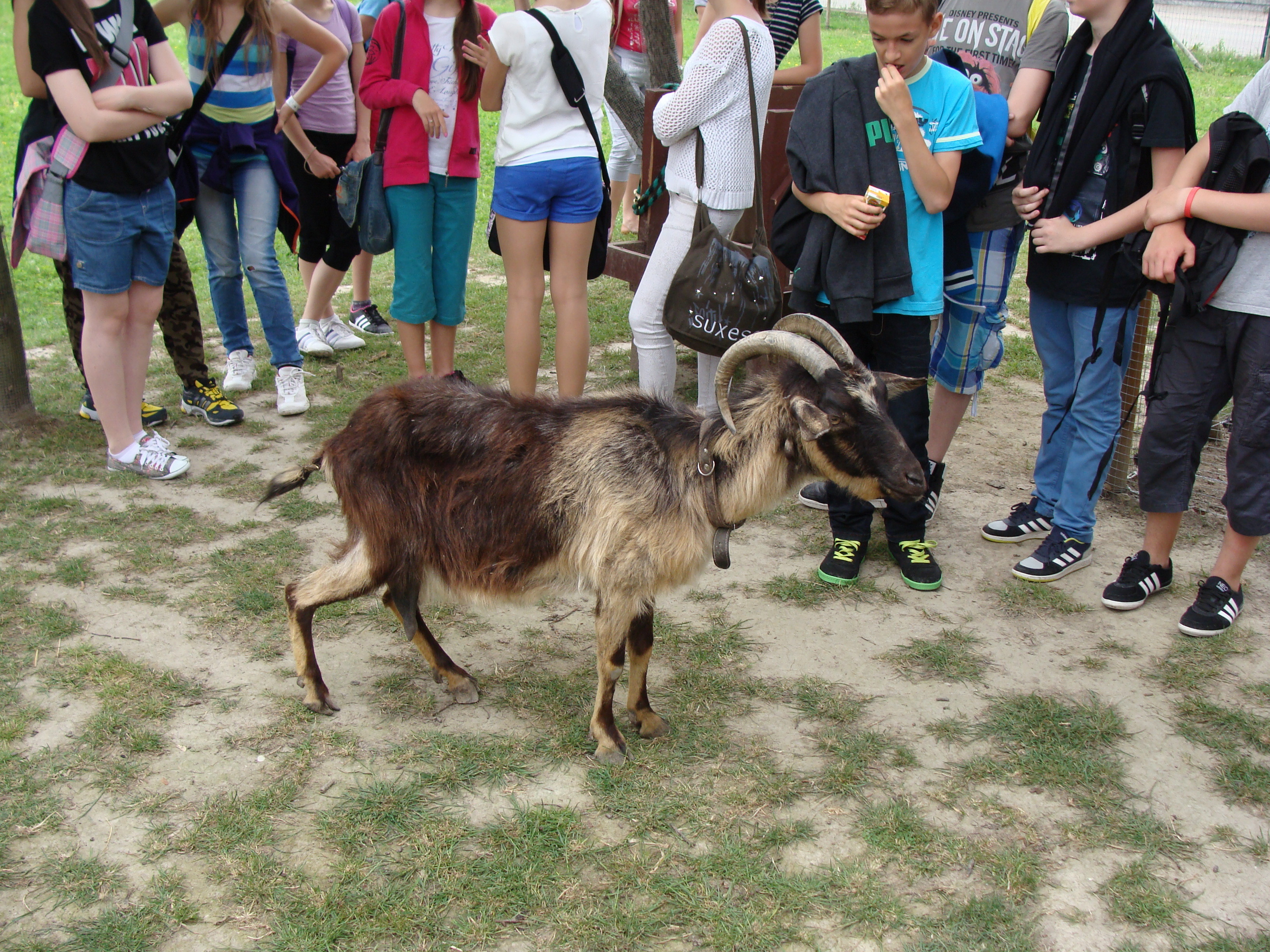 2014.05.26 Gabčíkovo Vojka 0071