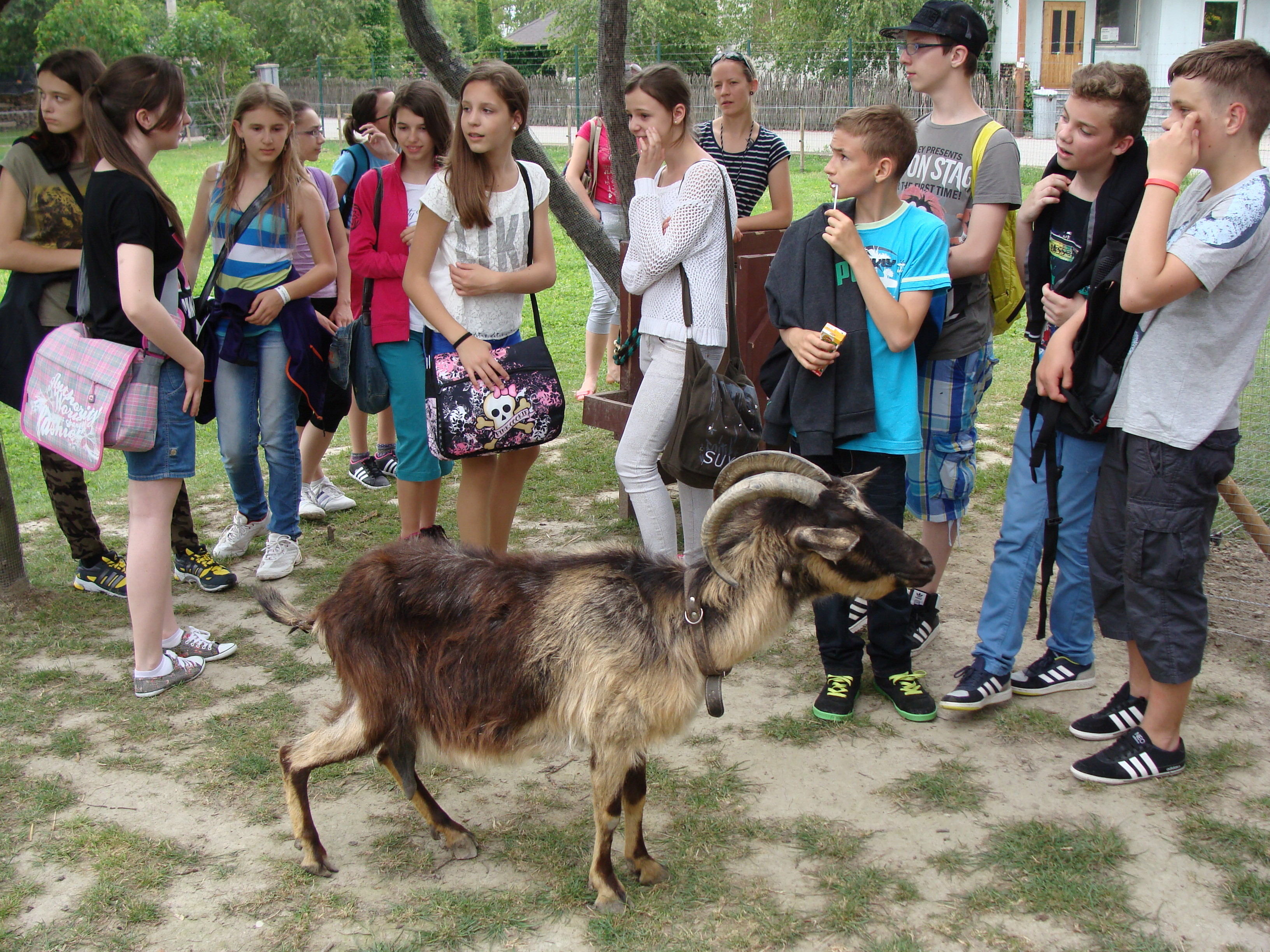 2014.05.26 Gabčíkovo Vojka 0072