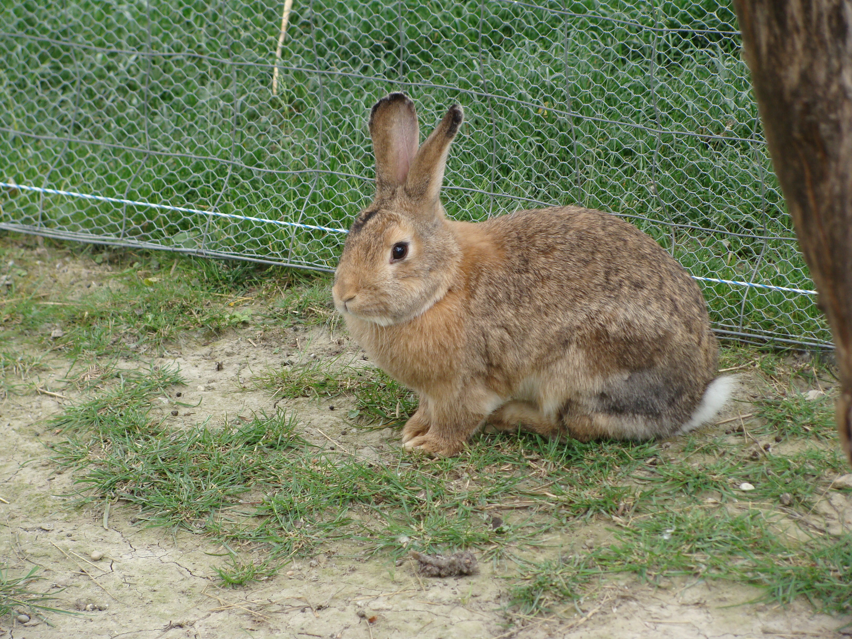 2014.05.26 Gabčíkovo Vojka 0076