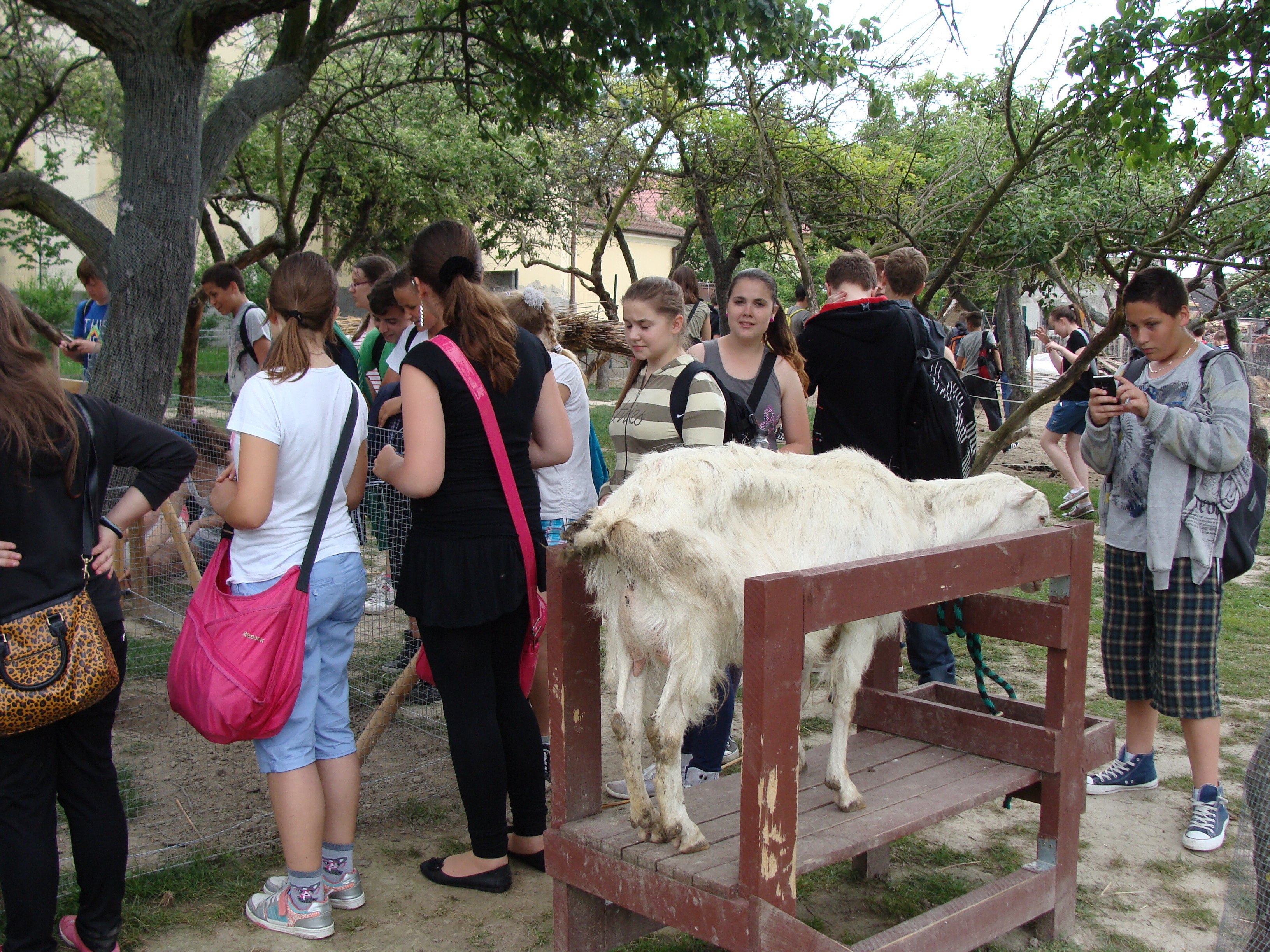 2014.05.26 Gabčíkovo Vojka 0088